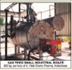 GAS FIRED SMALL INDUSTRIAL BOILER